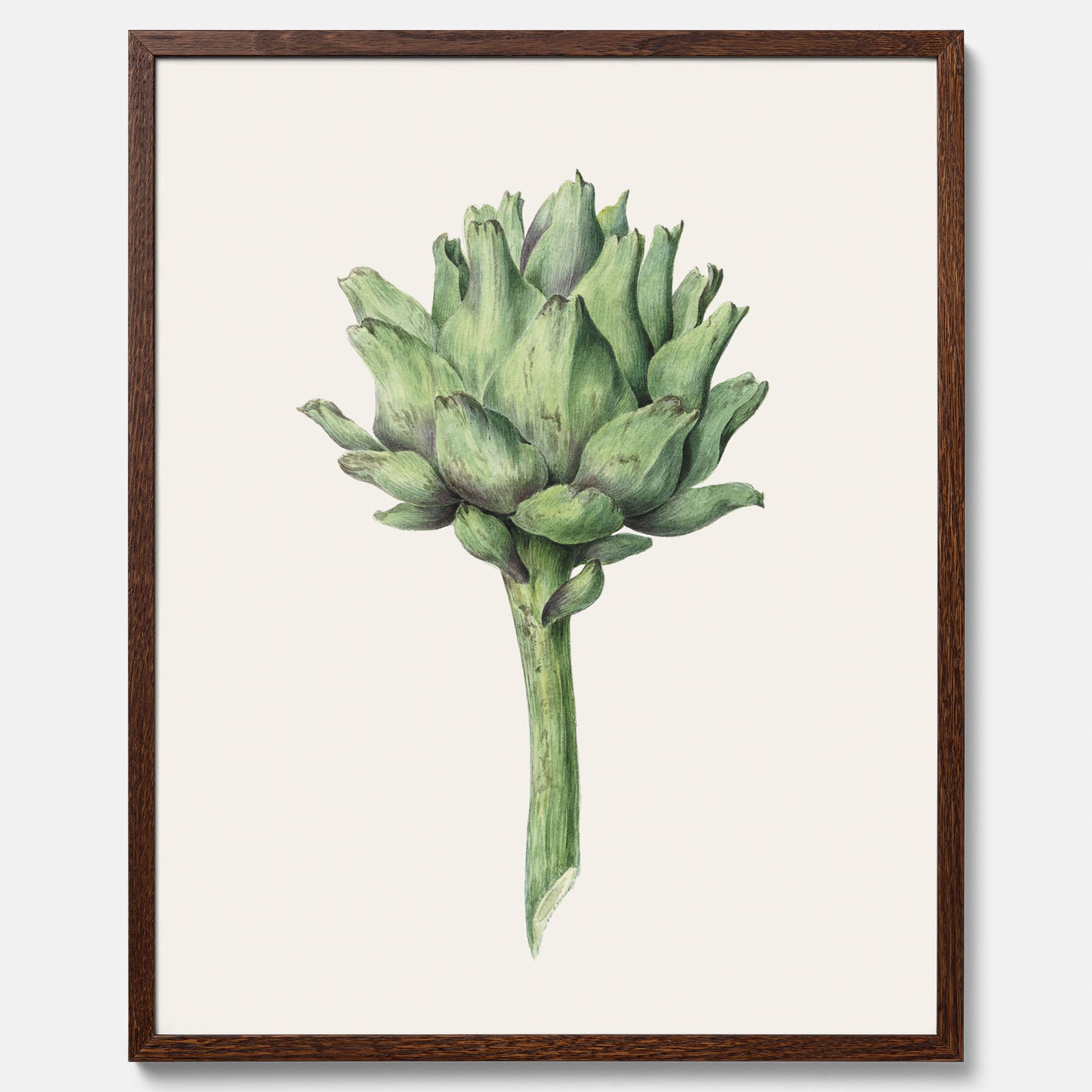 Kökstavla med en Kronärtskocka Poster – Plansch till kök med vintageillustration, vintageposter, köksposter, tavla till kök, poster till kök
