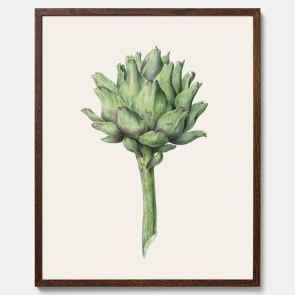 Kökstavla med en Kronärtskocka Poster – Plansch till kök med vintageillustration, vintageposter, köksposter, tavla till kök, poster till kök