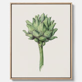 Kökstavla i canvas med en Kronärtskocka Poster – Plansch till kök med vintageillustration, vintageposter, köksposter, tavla till kök, poster till kök