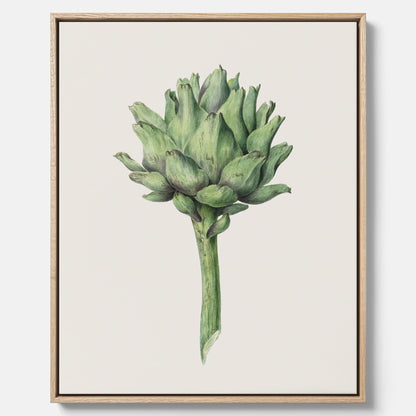 Kökstavla i canvas med en Kronärtskocka Poster – Plansch till kök med vintageillustration, vintageposter, köksposter, tavla till kök, poster till kök