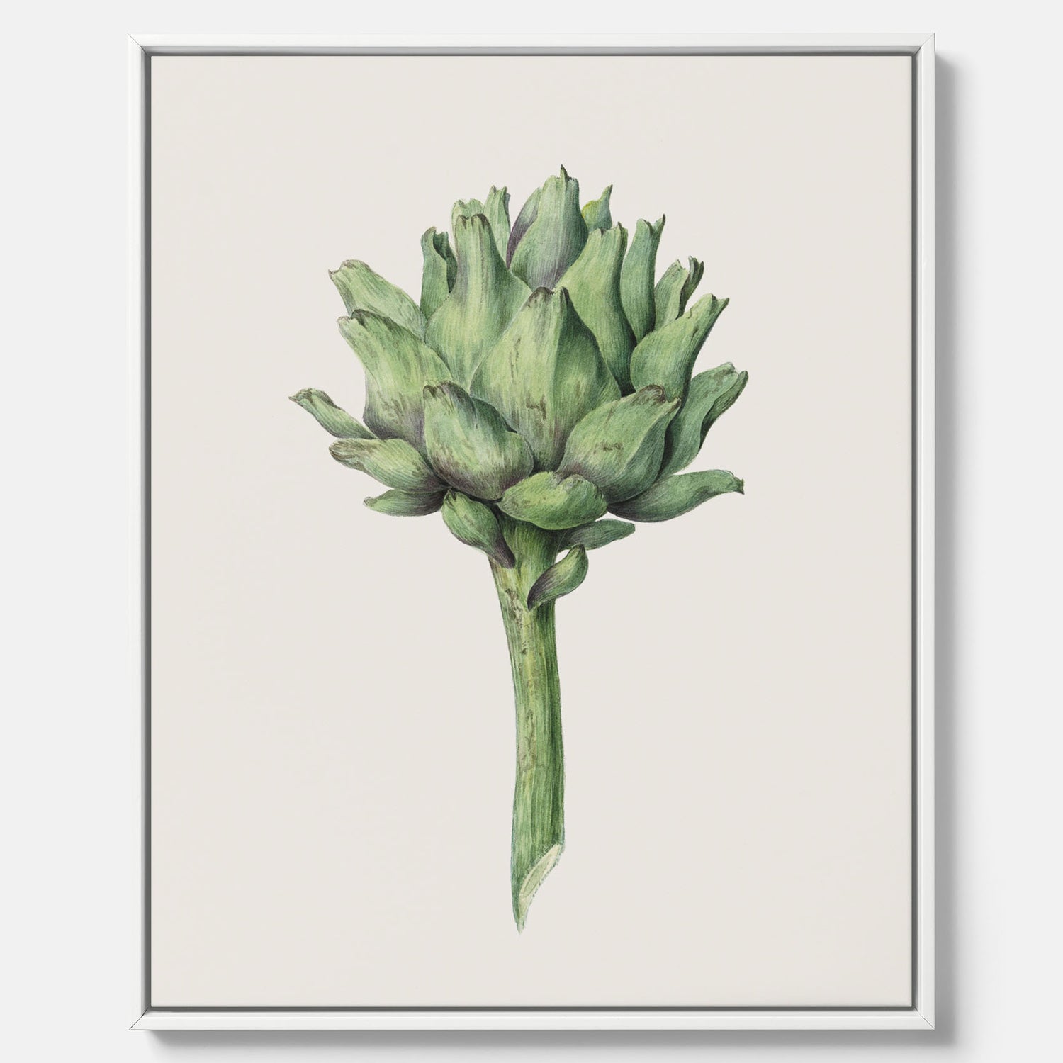 Kökstavla i canvas med en Kronärtskocka Poster – Plansch till kök med vintageillustration, vintageposter, köksposter, tavla till kök, poster till kök