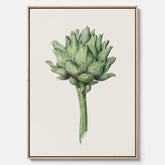 Kökstavla i canvas med en Kronärtskocka Poster – Plansch till kök med vintageillustration, vintageposter, köksposter, tavla till kök, poster till kök