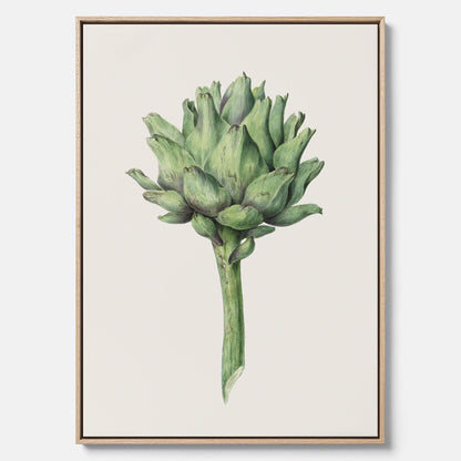 Kökstavla i canvas med en Kronärtskocka Poster – Plansch till kök med vintageillustration, vintageposter, köksposter, tavla till kök, poster till kök