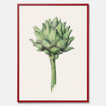 Kökstavla med en Kronärtskocka Poster – Plansch till kök med vintageillustration, vintageposter, köksposter, tavla till kök, poster till kök