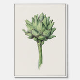 Kökstavla i canvas med en Kronärtskocka Poster – Plansch till kök med vintageillustration, vintageposter, köksposter, tavla till kök, poster till kök