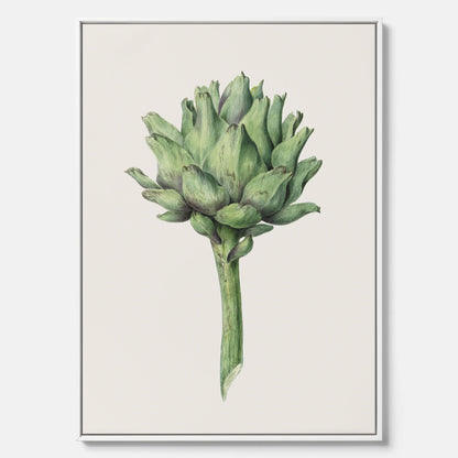 Kökstavla i canvas med en Kronärtskocka Poster – Plansch till kök med vintageillustration, vintageposter, köksposter, tavla till kök, poster till kök