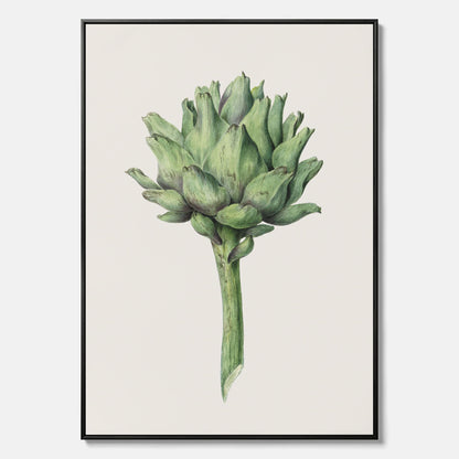 Kökstavla i canvas med en Kronärtskocka Poster – Plansch till kök med vintageillustration, vintageposter, köksposter, tavla till kök, poster till kök