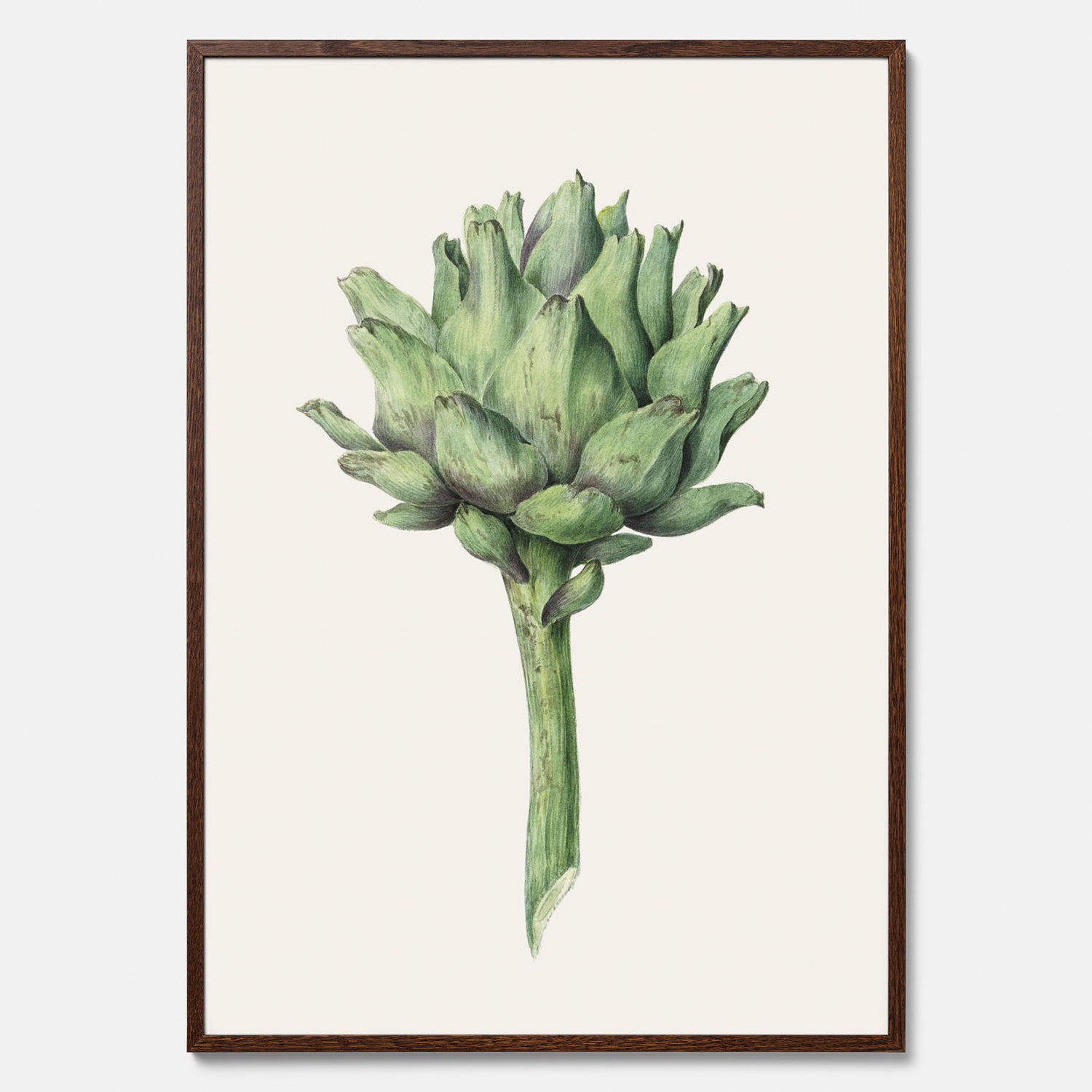 Kökstavla med en Kronärtskocka Poster – Plansch till kök med vintageillustration, vintageposter, köksposter, tavla till kök, poster till kök