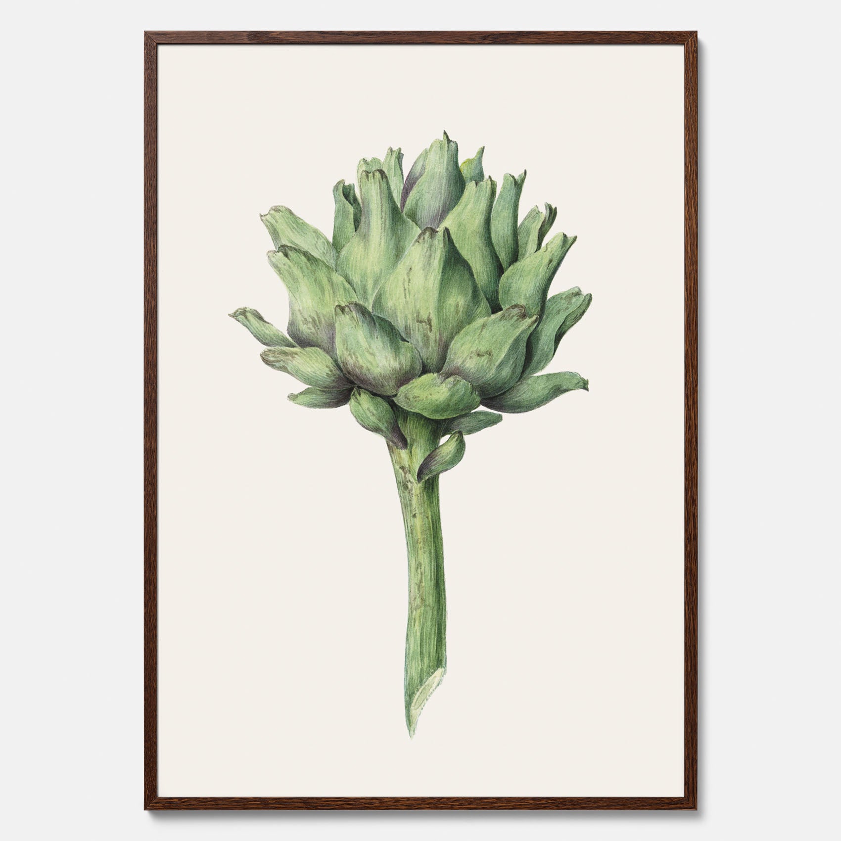 Kökstavla med en Kronärtskocka Poster – Plansch till kök med vintageillustration, vintageposter, köksposter, tavla till kök, poster till kök