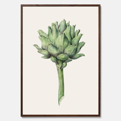 Kökstavla med en Kronärtskocka Poster – Plansch till kök med vintageillustration, vintageposter, köksposter, tavla till kök, poster till kök