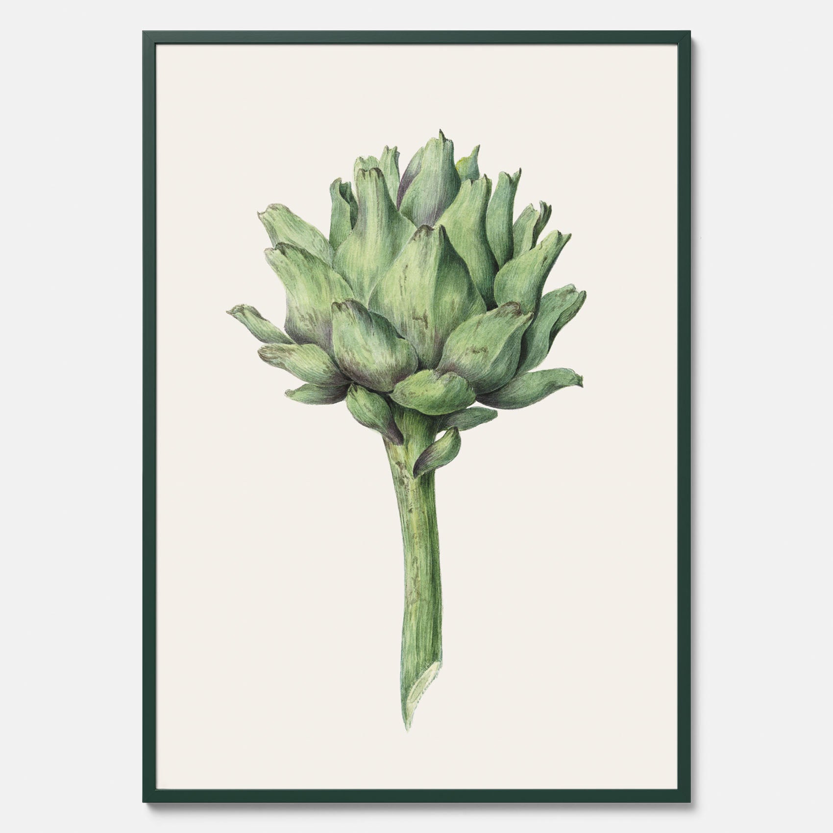 Kökstavla med en Kronärtskocka Poster – Plansch till kök med vintageillustration, vintageposter, köksposter, tavla till kök, poster till kök