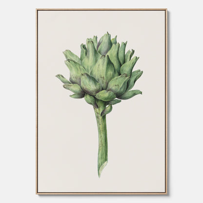 Kökstavla i canvas med en Kronärtskocka Poster – Plansch till kök med vintageillustration, vintageposter, köksposter, tavla till kök, poster till kök