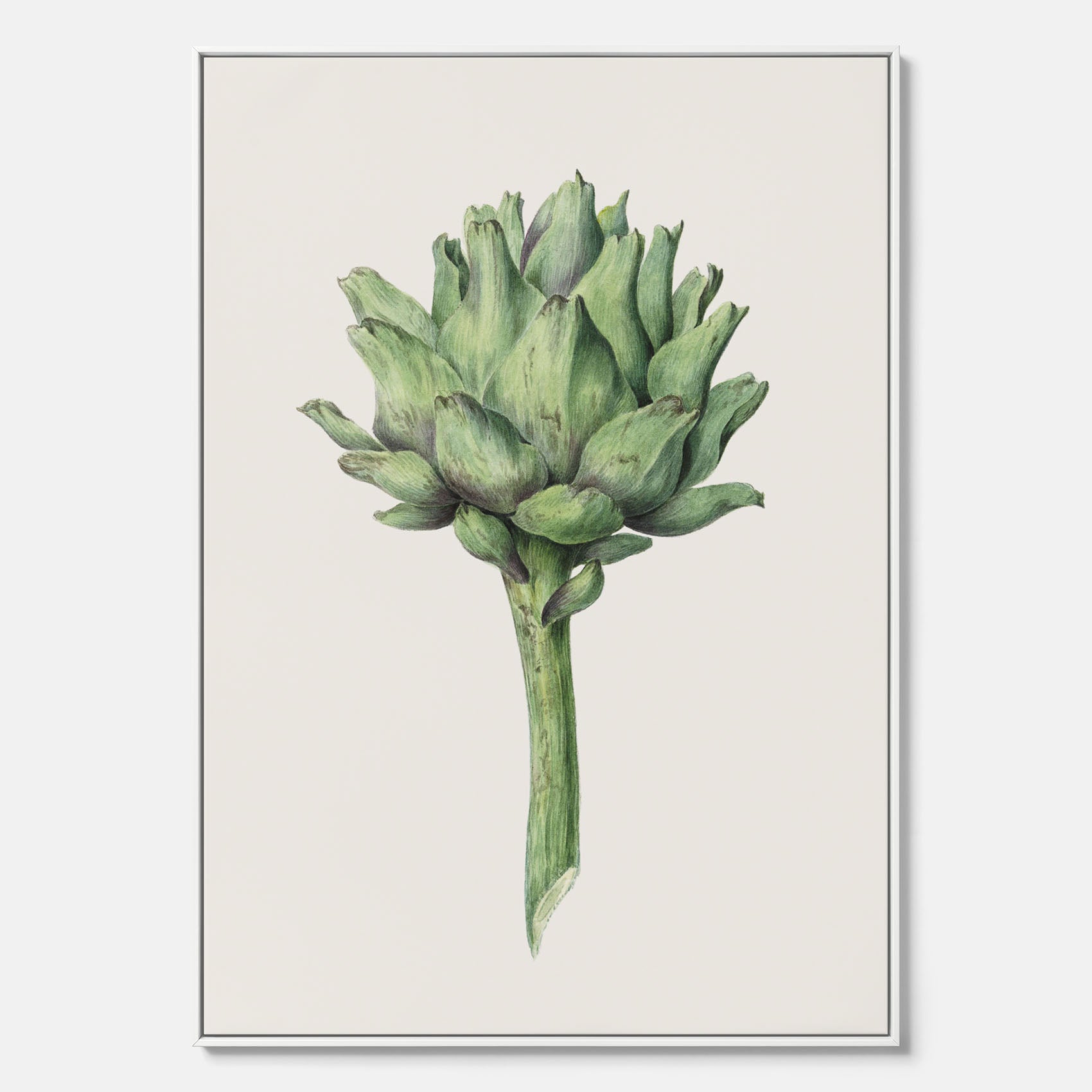Kökstavla i canvas med en Kronärtskocka Poster – Plansch till kök med vintageillustration, vintageposter, köksposter, tavla till kök, poster till kök