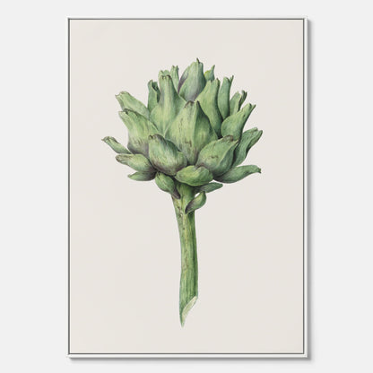Kökstavla i canvas med en Kronärtskocka Poster – Plansch till kök med vintageillustration, vintageposter, köksposter, tavla till kök, poster till kök