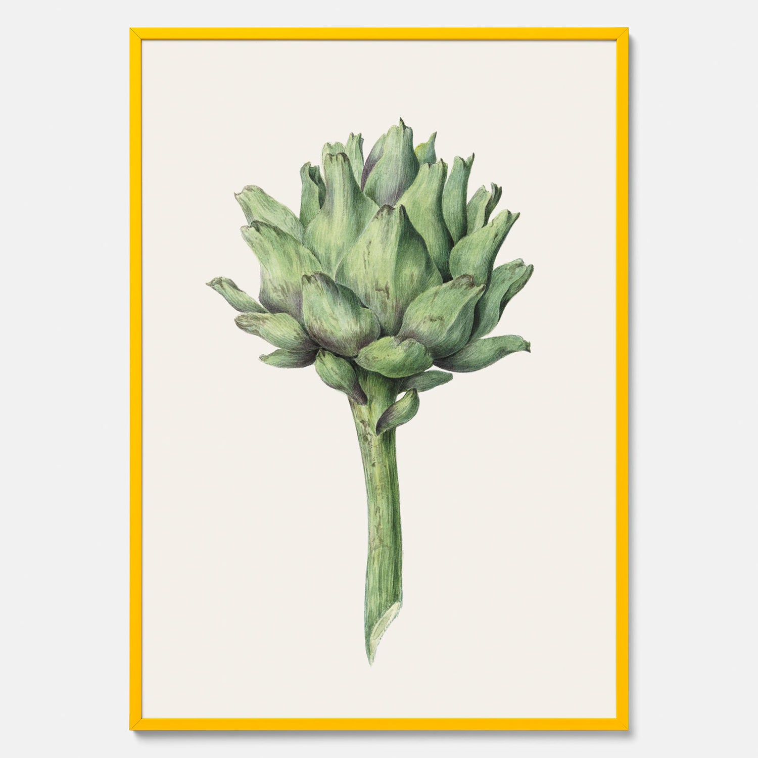 Kökstavla med en Kronärtskocka Poster – Plansch till kök med vintageillustration, vintageposter, köksposter, tavla till kök, poster till kök