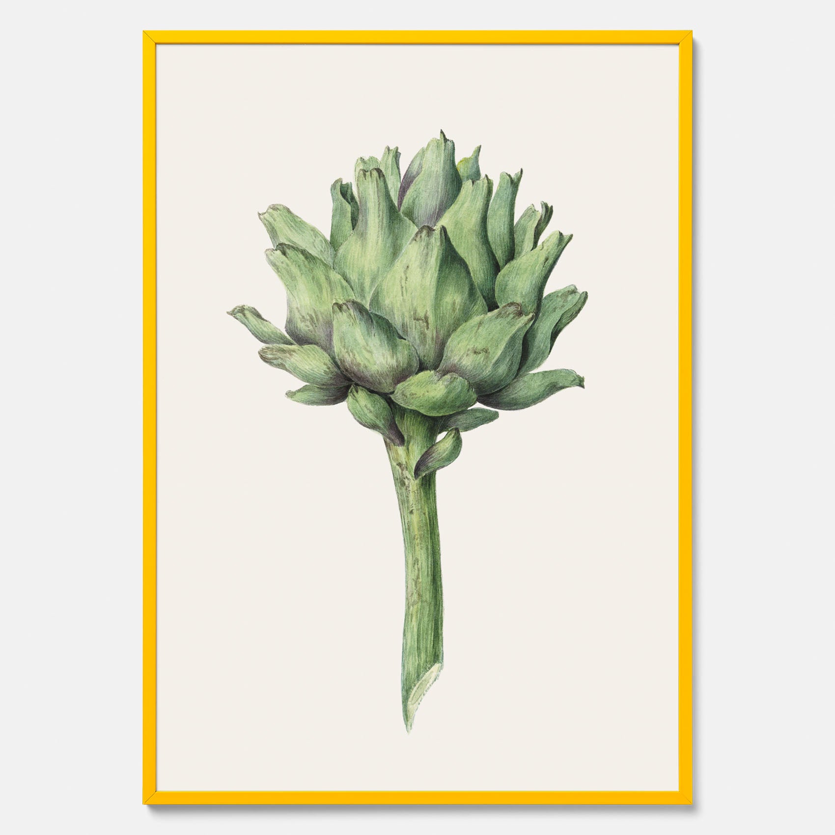 Kökstavla med en Kronärtskocka Poster – Plansch till kök med vintageillustration, vintageposter, köksposter, tavla till kök, poster till kök