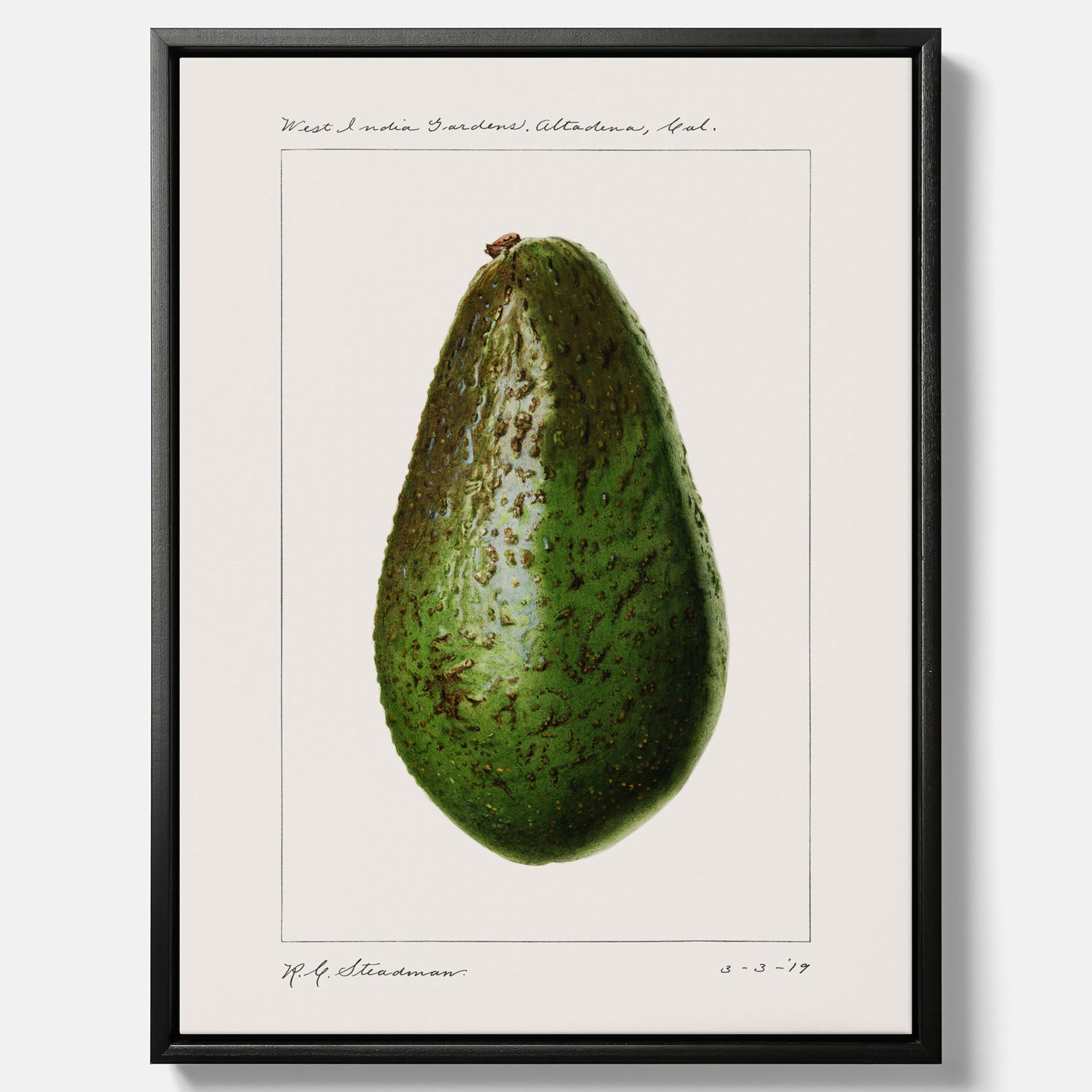 Kökstavla med en Avokado canvas – Posters till köket, vintageaffisch med illustration av en frukt, köksposter, tavla till kök
