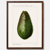 Kökstavla med en Avokado Plansch – Posters till köket, vintageaffisch med illustration av en frukt, köksposter, tavla till kök