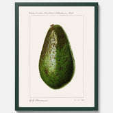 Kökstavla med en Avokado Plansch – Posters till köket, vintageaffisch med illustration av en frukt, köksposter, tavla till kök