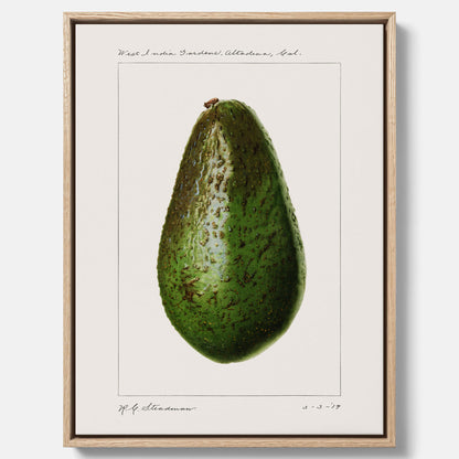 Kökstavla med en Avokado canvas – Posters till köket, vintageaffisch med illustration av en frukt, köksposter, tavla till kök