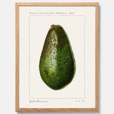 Kökstavla med en Avokado Plansch – Posters till köket, vintageaffisch med illustration av en frukt, köksposter, tavla till kök