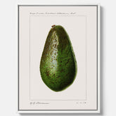 Kökstavla med en Avokado canvas – Posters till köket, vintageaffisch med illustration av en frukt, köksposter, tavla till kök