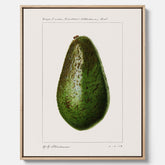 Kökstavla med en Avokado canvas – Posters till köket, vintageaffisch med illustration av en frukt, köksposter, tavla till kök