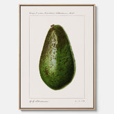 Kökstavla med en Avokado canvas – Posters till köket, vintageaffisch med illustration av en frukt, köksposter, tavla till kök