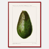 Kökstavla med en Avokado Plansch – Posters till köket, vintageaffisch med illustration av en frukt, köksposter, tavla till kök
