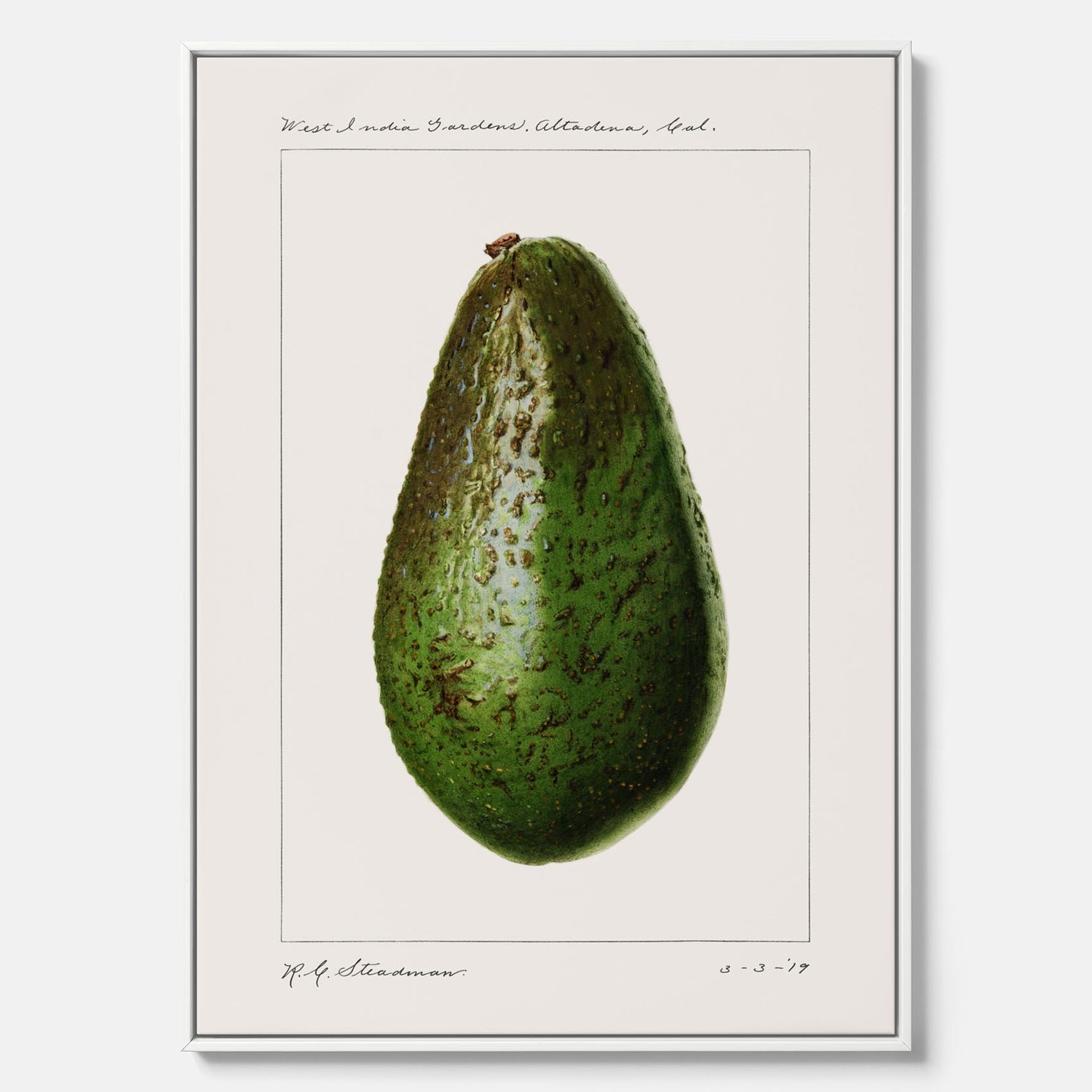 Kökstavla med en Avokado canvas – Posters till köket, vintageaffisch med illustration av en frukt, köksposter, tavla till kök