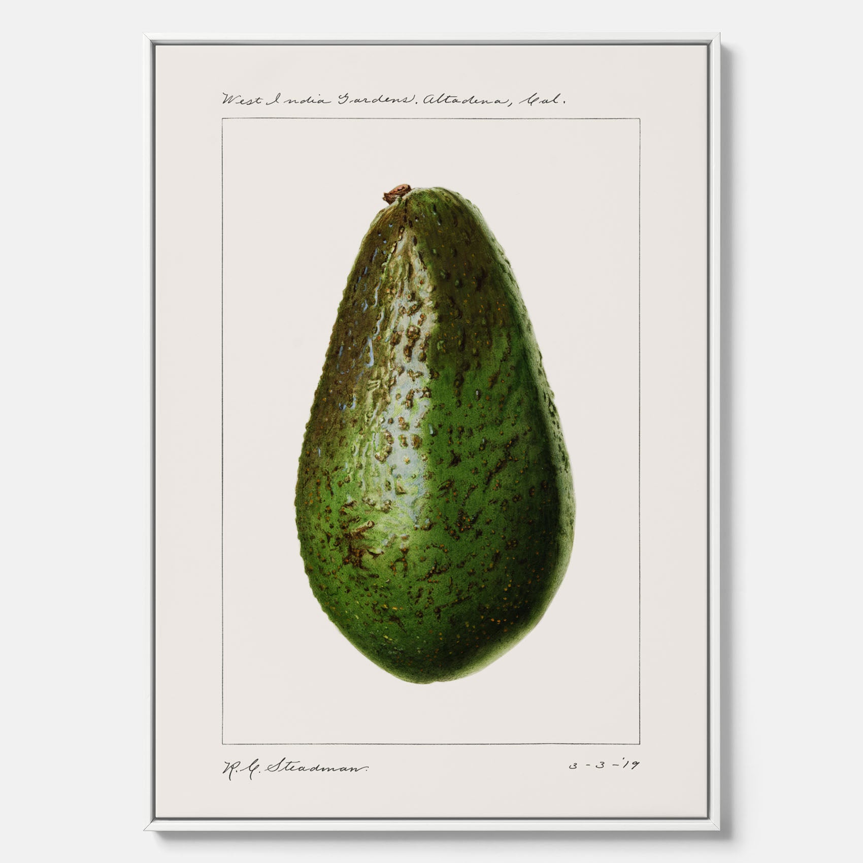 Kökstavla med en Avokado canvas – Posters till köket, vintageaffisch med illustration av en frukt, köksposter, tavla till kök