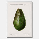 Kökstavla med en Avokado canvas – Posters till köket, vintageaffisch med illustration av en frukt, köksposter, tavla till kök