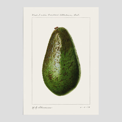 Kökstavla med en Avokado Plansch – Posters till köket, vintageaffisch med illustration av en frukt, köksposter, tavla till kök