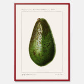 Kökstavla med en Avokado Plansch – Posters till köket, vintageaffisch med illustration av en frukt, köksposter, tavla till kök