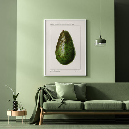 Kökstavla med en Avokado Plansch – Posters till köket, vintageaffisch med illustration av en frukt, köksposter, tavla till kök