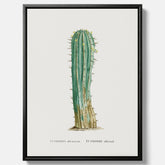 Vintagetavla i canvas med en illustration av en kaktus