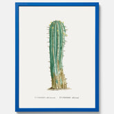 Vintageposter med en illustration av en kaktus