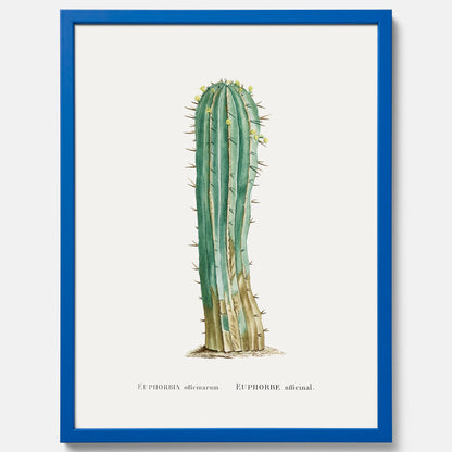 Vintageposter med en illustration av en kaktus
