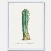 Vintageposter med en illustration av en kaktus