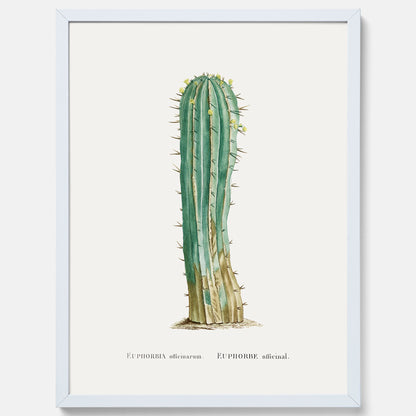 Vintageposter med en illustration av en kaktus