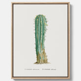 Vintagetavla i canvas med en illustration av en kaktus