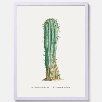 Vintageposter med en illustration av en kaktus