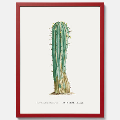 Vintageposter med en illustration av en kaktus