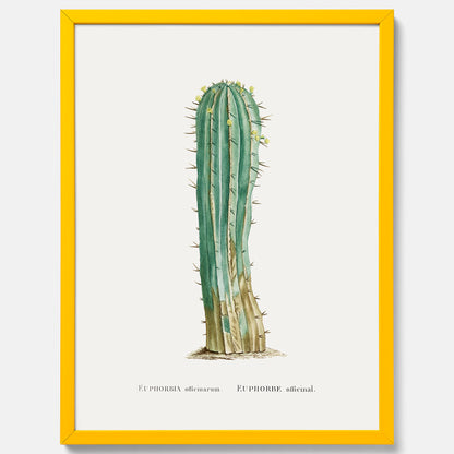 Vintageposter med en illustration av en kaktus