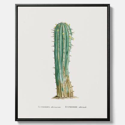 Vintagetavla i canvas med en illustration av en kaktus