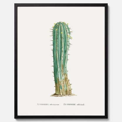 Vintageposter med en illustration av en kaktus