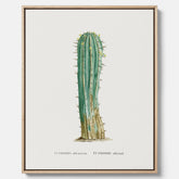 Vintagetavla i canvas med en illustration av en kaktus