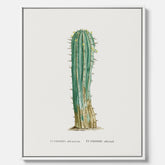 Vintagetavla i canvas med en illustration av en kaktus