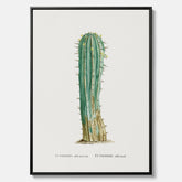 Vintagetavla i canvas med en illustration av en kaktus
