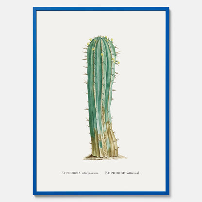 Vintageposter med en illustration av en kaktus